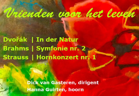 Flyer Vrienden voor het Leven